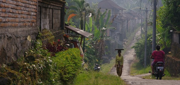 Bali scenery